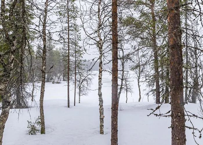 Nyaraló Revontuli By Interhome